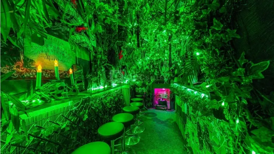 Amazonas Bar, bar, Paris 11e, jusqu'à 40 personnes — photo 3