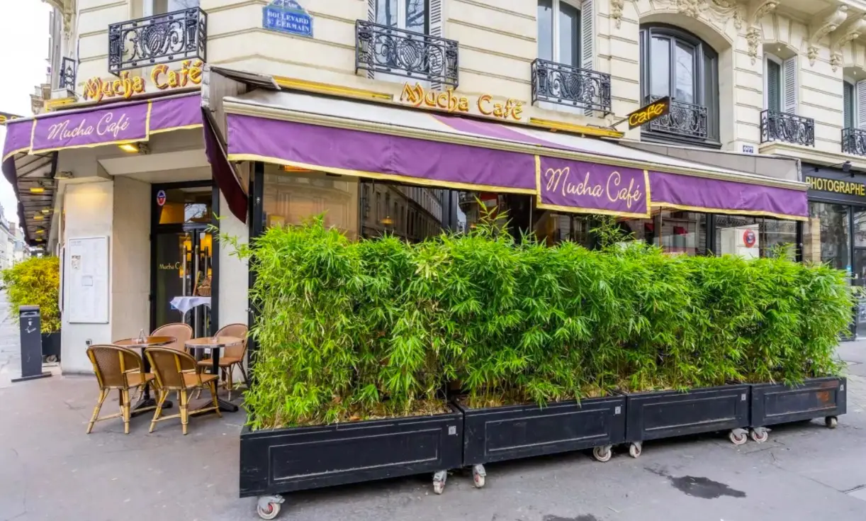 Mucha Café, salle de réception, Paris 7e, jusqu'à 120 personnes — photo 3
